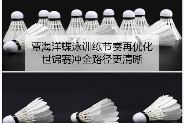 覃海洋蝶泳训练节奏再优化 世锦赛冲金路径更清晰